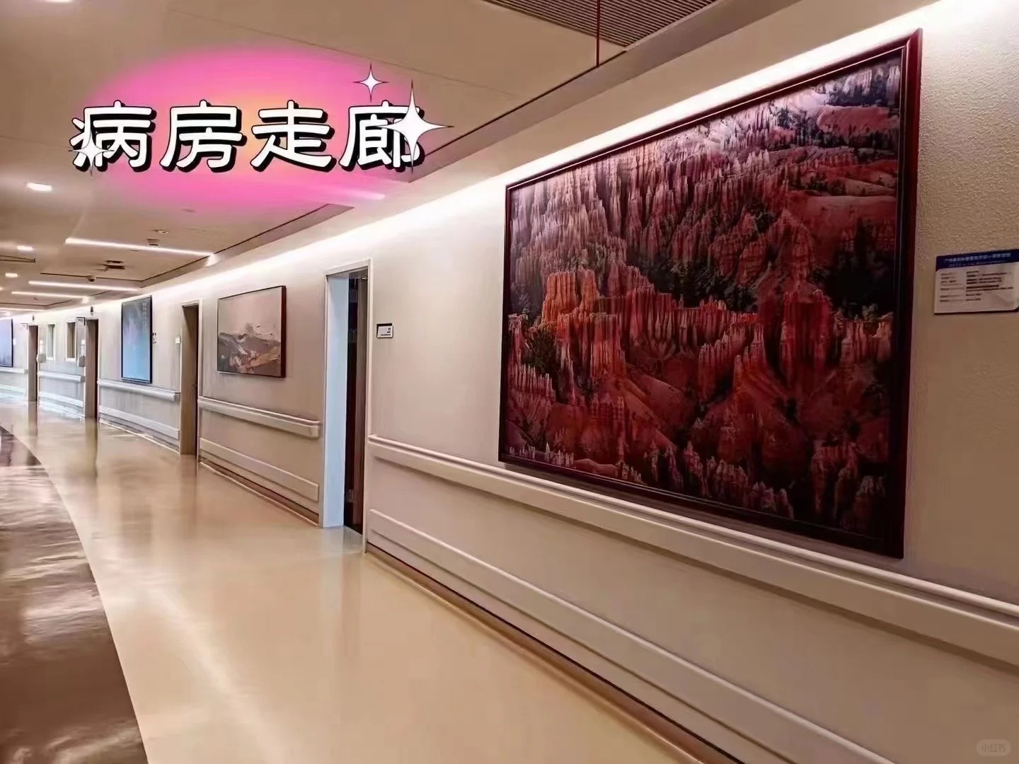 GCCC inpatient corridor with artwork