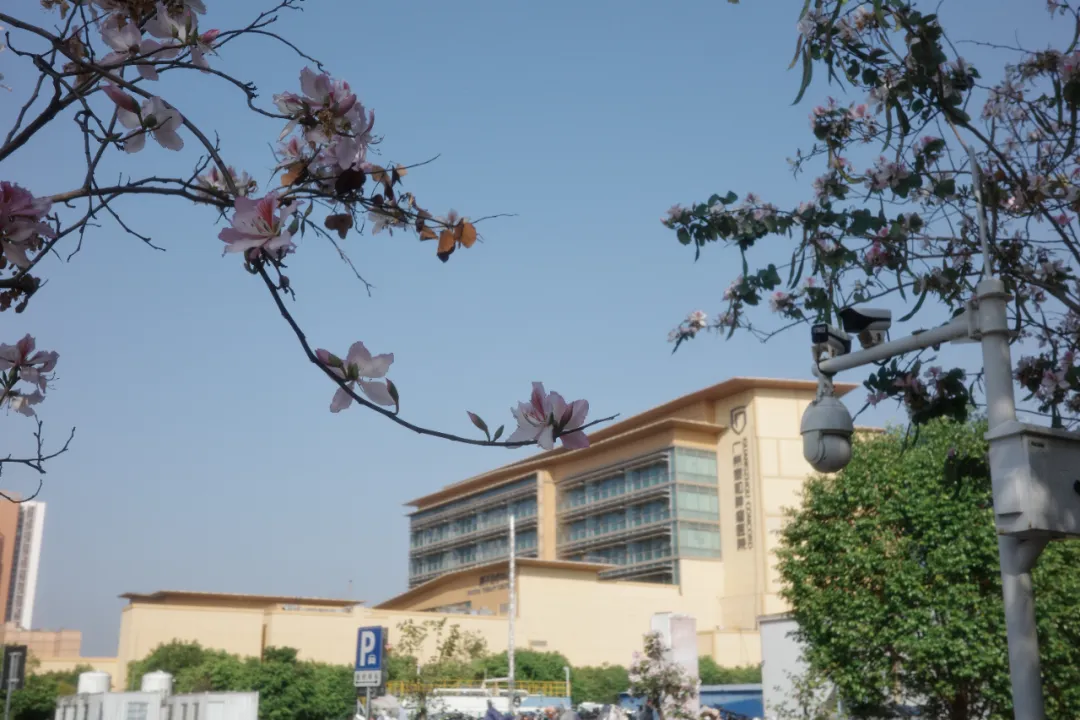 Guangzhou Concord Cancer Center campus